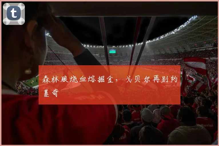 森林狼烧血熔掘金，戈贝尔再别约基奇